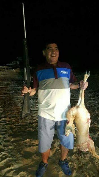 Maradona uccide un animale protetto. E il web s’indigna