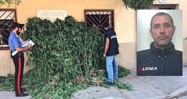 Melilli, coltivava piantagione di marijuana: arrestato