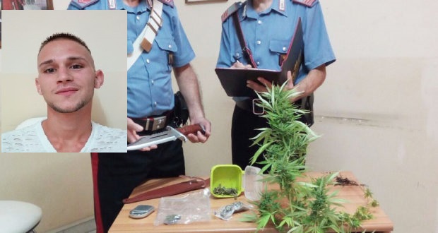 Priolo, coltivava marijuana in casa: arrestato