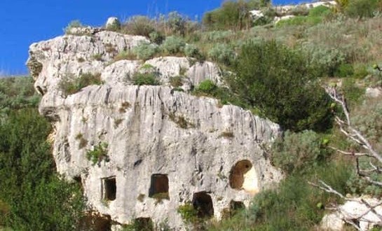 Noto, si parlerà di “macchia mediterranea” in Sala Gagliardi