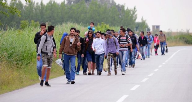 Riunione in prefettura: Belvedere, trasferito il migrante ospite del centro accoglienza