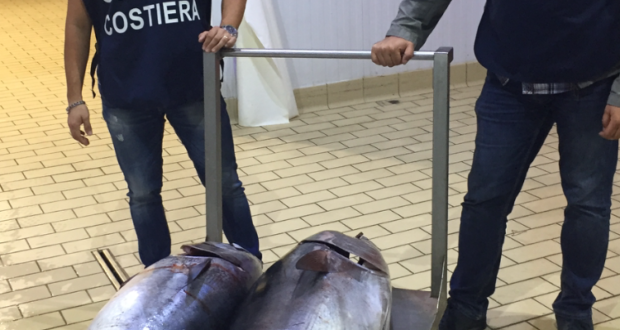 Portopalo, la Capitaneria sequestra due tonni rossi