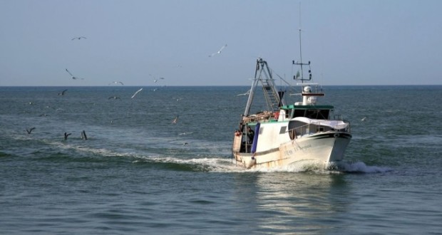 Il porto di Siracusa aperto allo sbarco del pesce spada