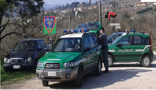 Scout si perdono nel bosco, soccorsi