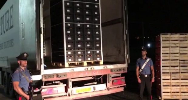 Una tonnellata di marijuana viaggiava in un Tir