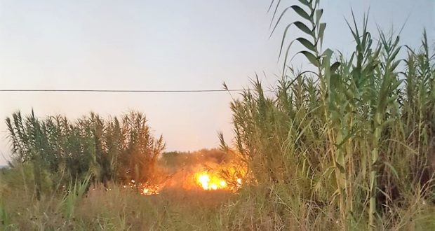 Canneto della riserva Ciane e Saline in fiamme