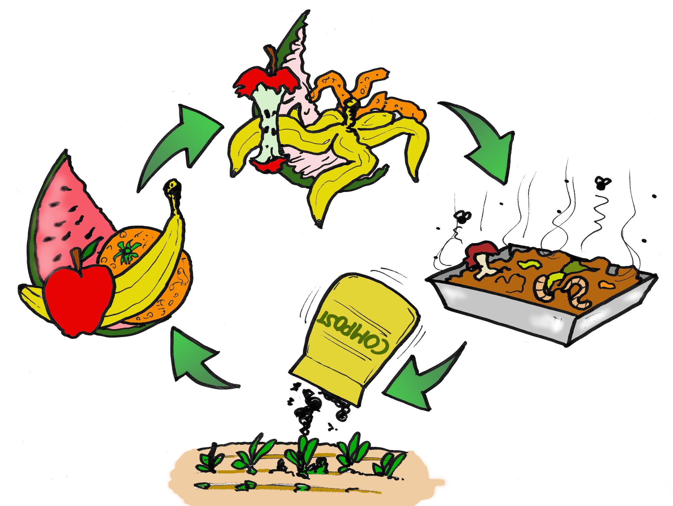 Circolo l’anatroccolo: piccolo incentivo per trasformazione del compost  per nutrimento biologico del terreno