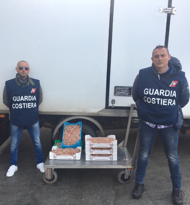 Siracusa, Guardia Costiera: sequestrato 32 chili di prodotto ittico