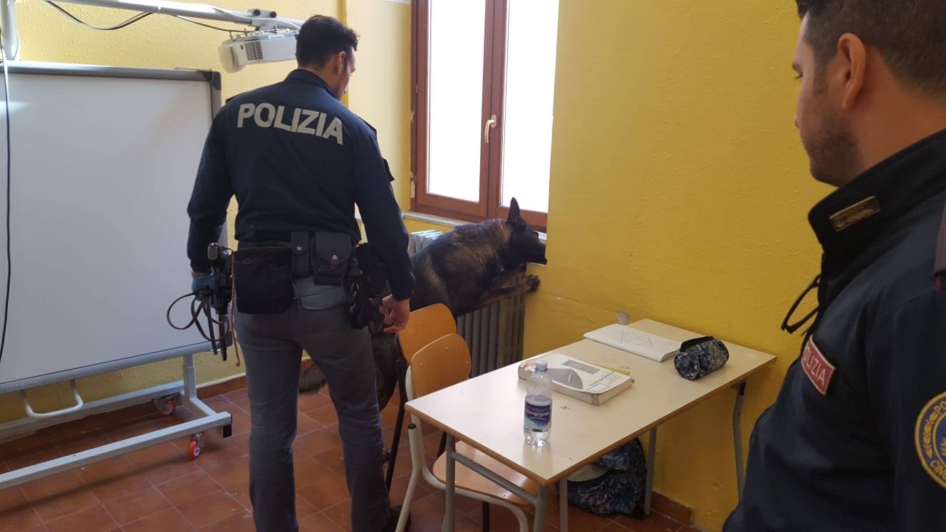 “Scuole sicure”, Siracusa: controlli di polizia con unità cinofile antidroga