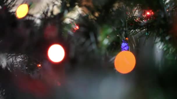 Immagini Natalizie Free.L Albero Di Natale Il Corto Di Wltv Digitale Terrestre Free Canale 652