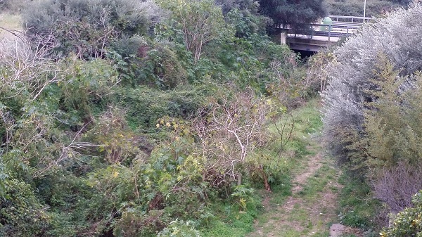 Priolo. Verifica dei lavori valloni Monachella e Mostringiano dal primo cittadino e dal funzionario regionale agricoltura e foreste