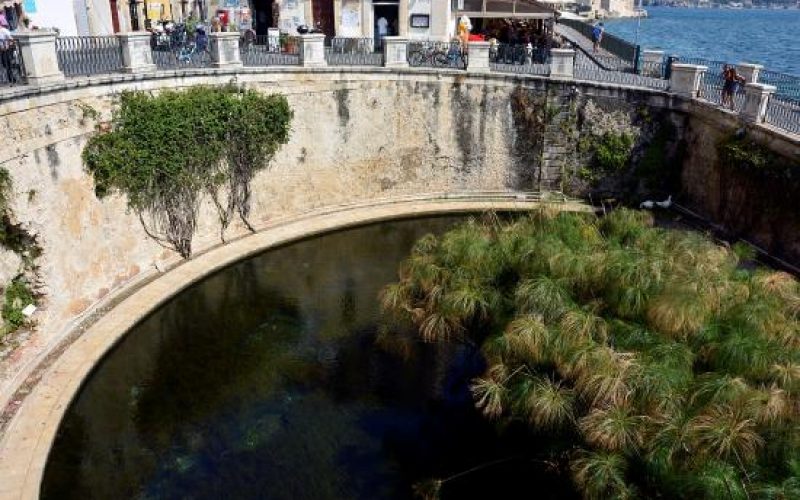 Siracusa. Ortigia: 45enne si lancia dal parapetto di Fonte Aretusa,immediati i soccorsi dei carabinieri