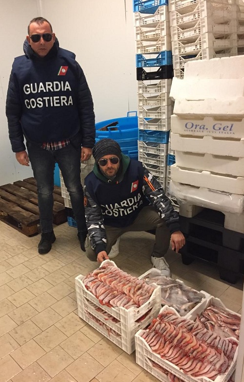 Portopalo, controllo condotta sulla filiera ittica: gambero e seppie congelate privi di tracciabilità