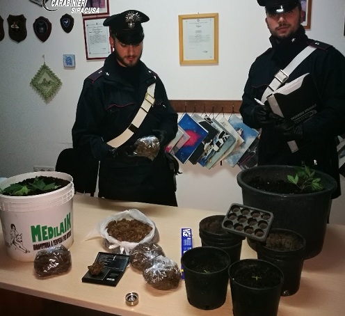 Lentini. Deteneva 800 grammi di marijuana : 27enne arrestato