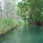 Fiume Ciane e Saline: la lettera di “Porto di Siracusa” al Libero Consorzio