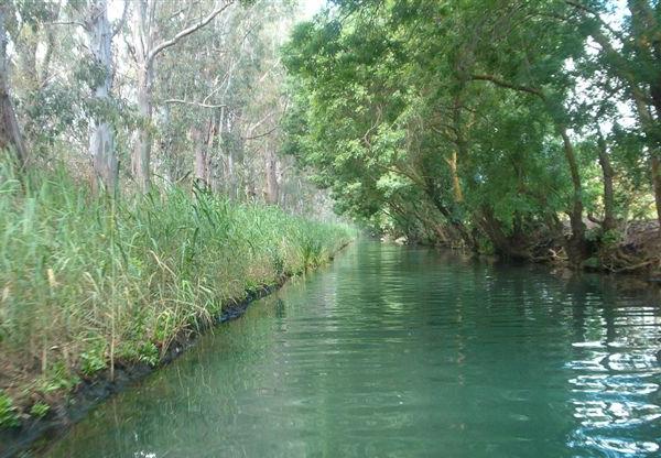 Manutenzione fiumi: Gennuso (FI) “Bene interventi per Anapo e Ciane finanziati da Regione”