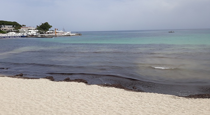 Siracusa,  consigliere Michele Buonomo: saranno finalmente rimosse le alghe sul litorale di Fontane Bianche