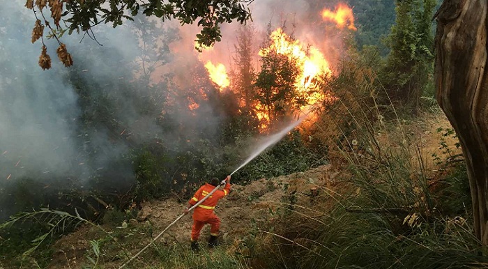 Campagna antincendio. Sindacati e Corpo forestale:“Serve un accordo per i lavoratori”