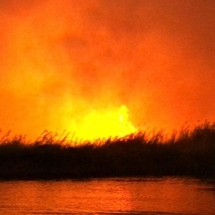 Il fuoco devasta la riserva Ciane e Saline