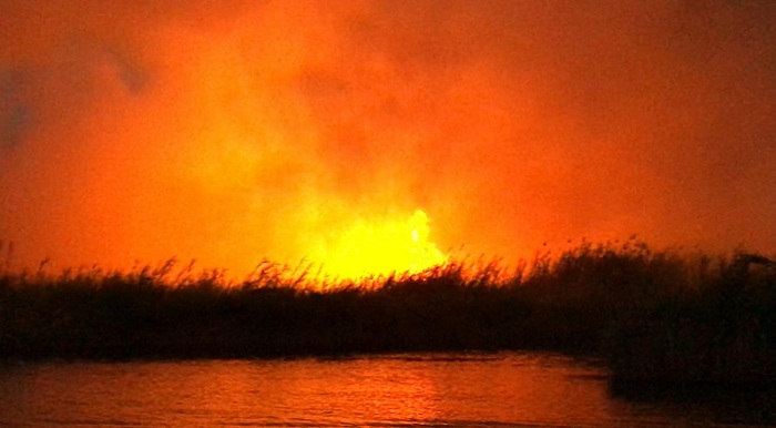 Ambiente -Emergenza incendi nel nisseno: associazioni e gruppi presentano esposto alle procure di Caltanissetta e Gela