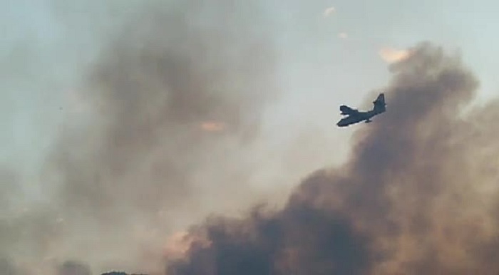 Decine di incendi scoppiati in provincia di Palermo: impegnando vigili del fuoco, forestali e diversi Canadair