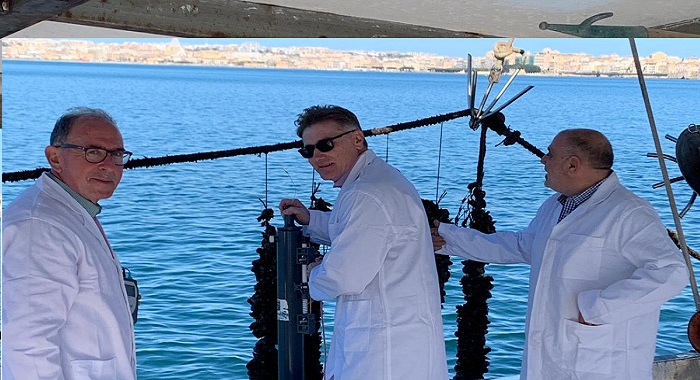Siracusa, piano di monitoraggio e sorveglianza dei molluschi del porto Grande di Siracusa