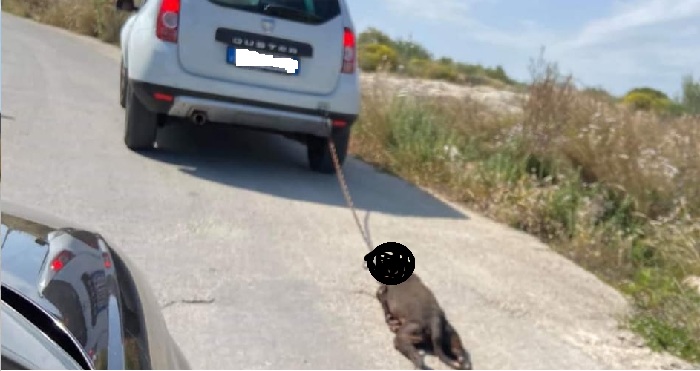 Priolo, trascina il cane in auto: denunciato