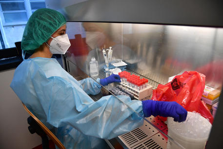 Coronavirus, 49 nuovi casi positivi in Sicilia: 101 persone ricoverate, 13 in terapia intensiva