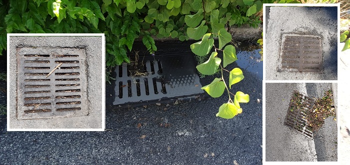 Nubifragio a Palermo. Mangiafico: “E se fosse successo a Siracusa?”. Reportage di mancata manutenzione ordinaria