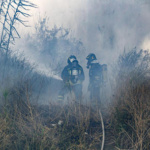 Convenzione con Esa per pulire i terreni comunali