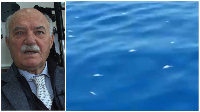 Priolo. Moria di pesci e granchi a largo della penisola Magnisi, sindaco Gianni: “Se qualcuno ha commesso un reato dovrà pagare in maniera esemplare”