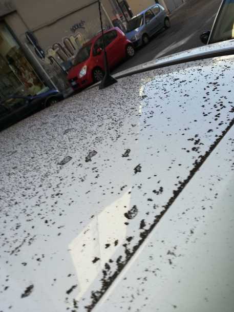 Catania , Etna- ‘Pioggia’ cenere, su auto ‘annerite’: fase parossistica del vulcano, aeroporto di Catania operativo