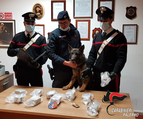 Palermo, 5 chili e 500 grammi di hashish nascosto in casa: 16enne arrestato