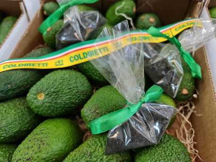 Agricoltura – Regalo ‘caratteristico’ da produttore Catania: avocado e in omaggio sacchetto sabbia nera Etna