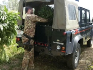 Camion marijuana in strade Vittoria, è maxisequestro dei carabinieri: arrestate 2 persone