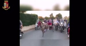 Noto, bloccata corsa clandestina di cavalli: denunciato un minore