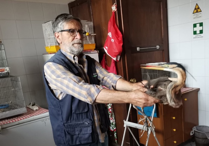 Ambiente –  Recuperato a Pantelleria dai forestali un airone rosa ferito – Sarà curato dalla Lipu di Ficuzza e poi liberato