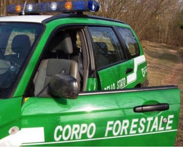 Sicilia – Aumento 78 da 101 giornate per i forestali, Gennuso (FI); “La tutela del lavoro vanno di pari passo con la tutela dell’ambiente”