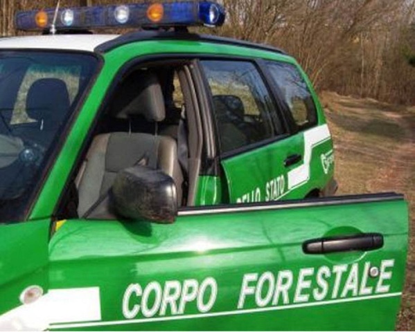 Forestali, Caputo (FI) incontra delegazione: “Accuse intollerabili e strumentali, la politica invia segnali forti a sostegno del comparto“