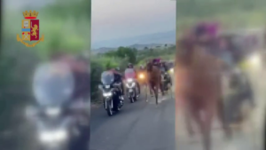Corsa clandestina cavalli nel Catanese, 3 denunce