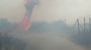 Siracusa - Ondata di caldo e sette fronti d'incendio in provincia