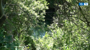 Canale Galermi, l'On. Cafeo: cronistoria di un fallimento