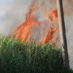 Ciane-Saline, è scontro: “Basta annunci, servono fatti”