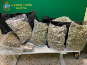 Gdf Catania sequestra 37 kg marijuana, due arresti - Stupefacente del tipo 'amnesia' ad alto potenziale