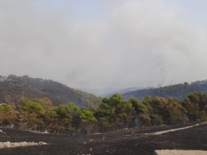 Incendio in contrada Calaforno nel Ragusano, paura per l'area archeologica: canadair in azione