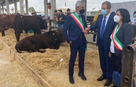 Agroalimentare, Musumeci in Fiera a Ragusa: «Valorizzare le razze autoctone»