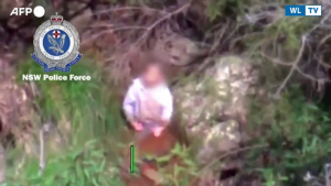 Mondo - Australia, ritrovato bimbo autistico disperso per 3 giorni nel bosco Il piccolo (3 anni) si era smarrito vicino casa e sta bene
