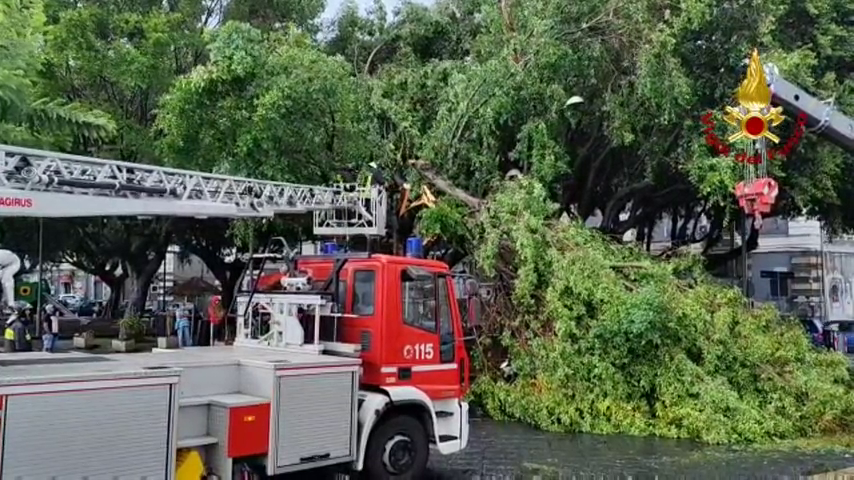 Maltempo: temporale Catania, alberi caduti, decine tetti scoperchiati – Video