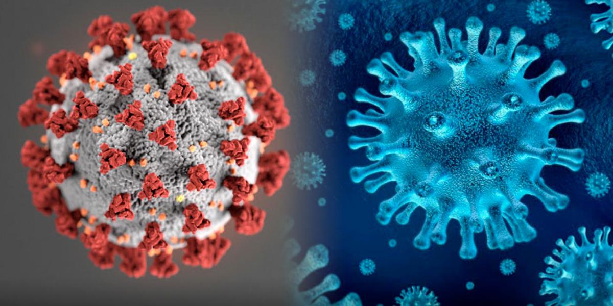 Il Coronavirus è nato in laboratorio, ecco le prove