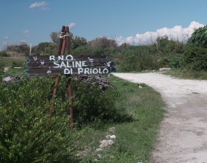 La Riserva Naturale Saline di Priolo riaprirà